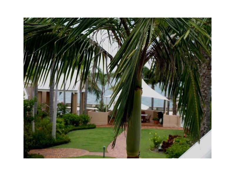 55/3 Marina Crescent, Hollywell QLD 4216