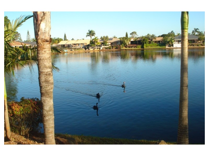 1/8 Possum Court, Coombabah QLD 4216