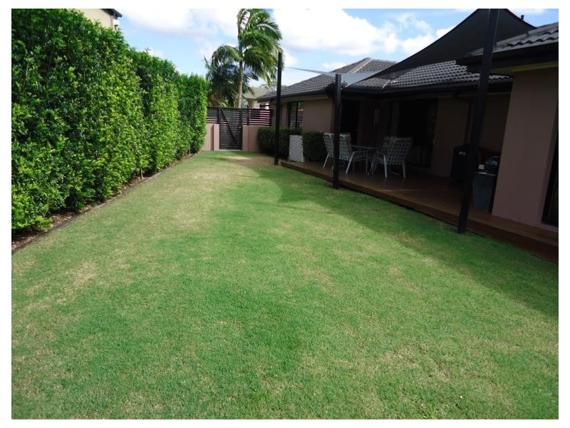 12 Torquay Place, Arundel QLD 4214