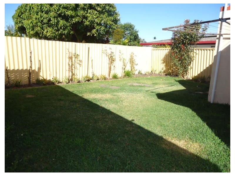 24 Bluegum Avenue, Hollywell QLD 4216