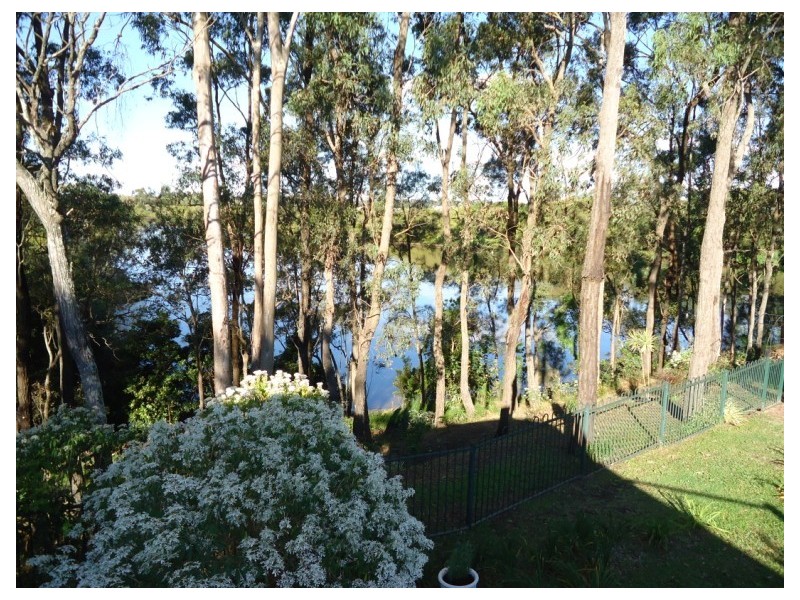 46 River Meadows Drive, Upper Coomera QLD 4209