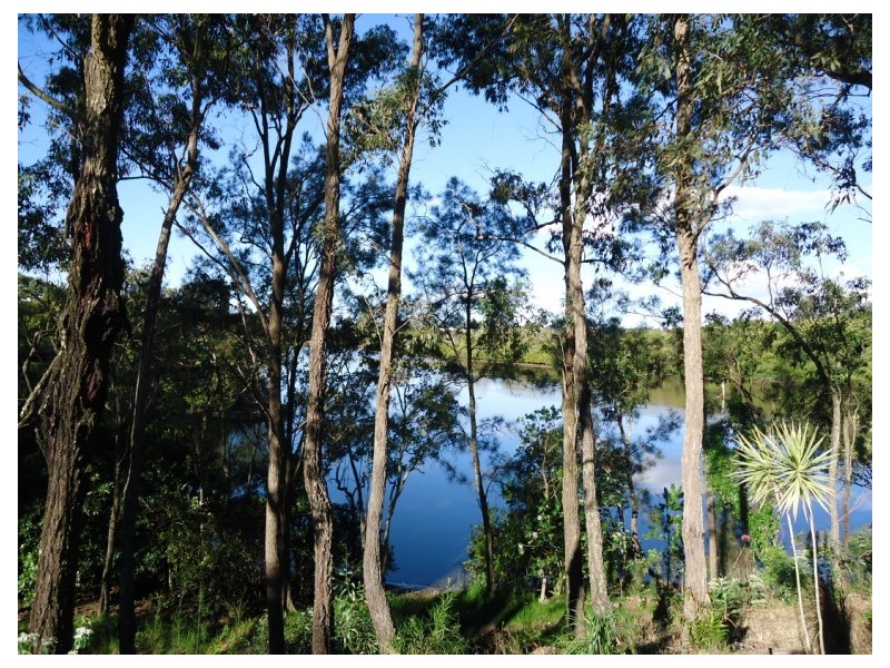 46 River Meadows Drive, Upper Coomera QLD 4209