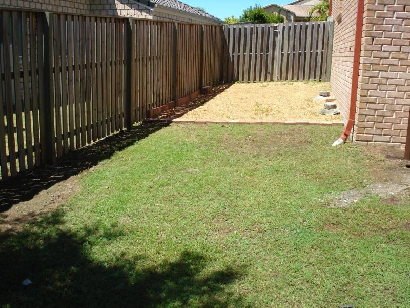 17 Springdale Street, Upper Coomera QLD 4209