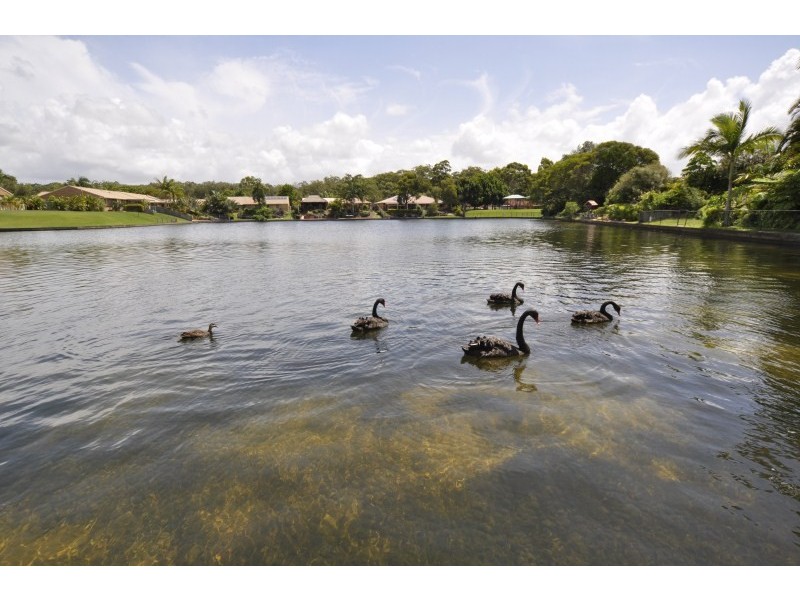 1/22 Possum Crescent, Coombabah QLD 4216