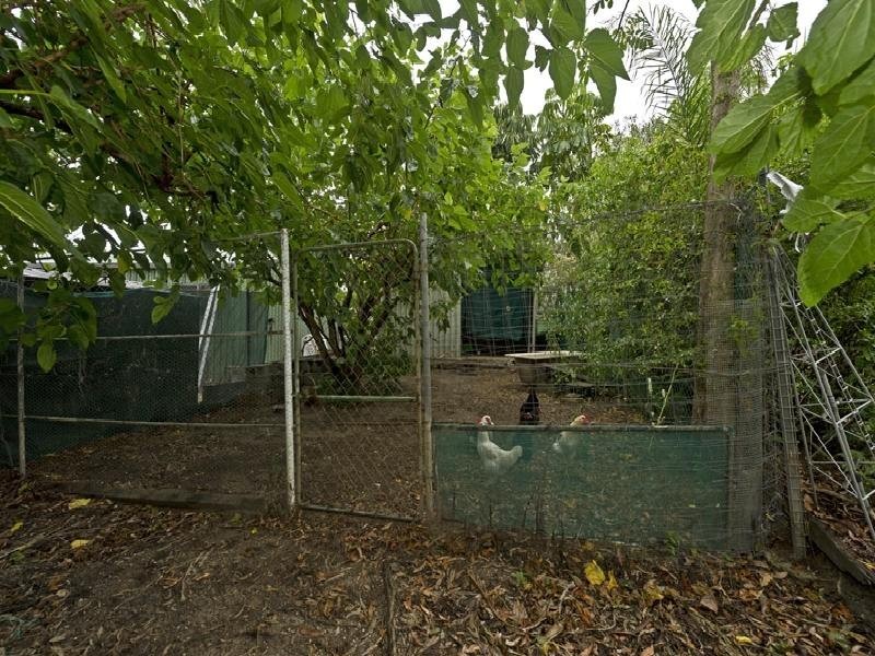 56 Riversdale Road, Oxenford QLD 4210