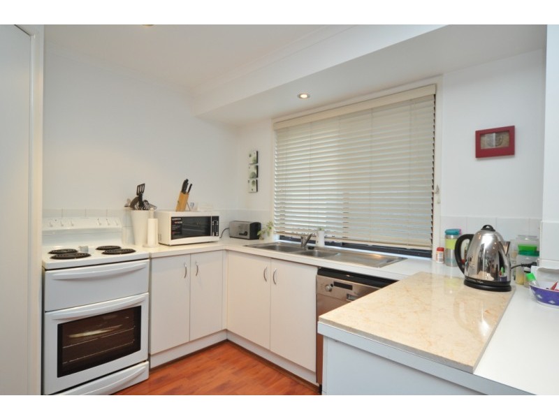 56 Studio Drive, Oxenford QLD 4210