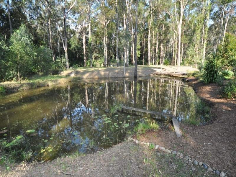 39 Fern Tree Gully Drive, Willow Vale QLD 4209