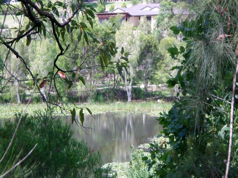 41 Burley Griffin Drive, Maudsland QLD 4210