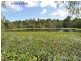 41 Burley Griffin Drive, Maudsland QLD 4210