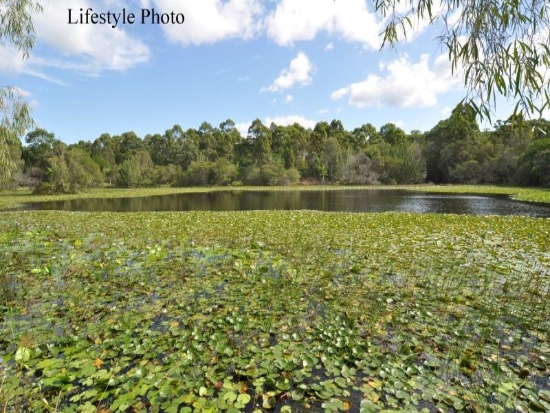 41 Burley Griffin Drive, Maudsland QLD 4210