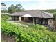41 Burley Griffin Drive, Maudsland QLD 4210