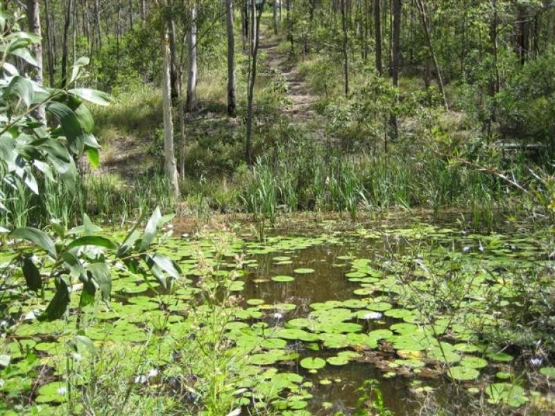 26 Gerrale Drive, Willow Vale QLD 4209