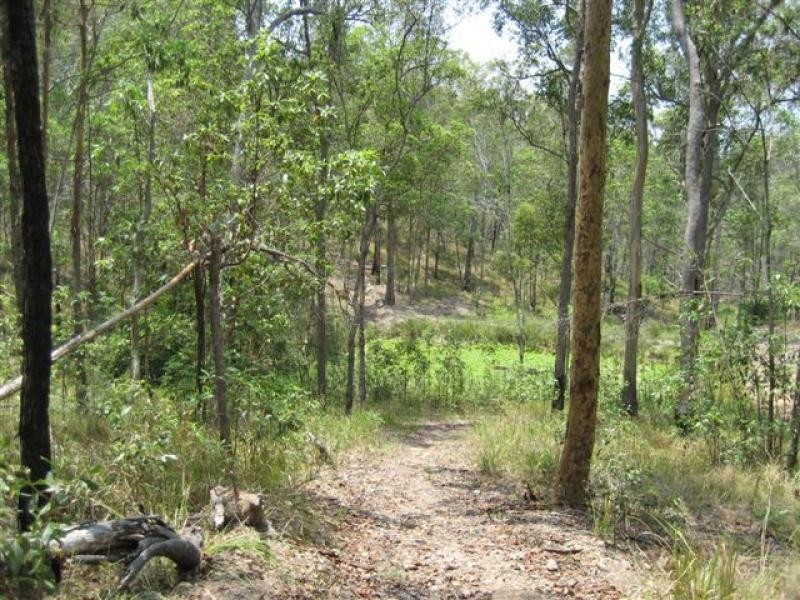 26 Gerrale Drive, Willow Vale QLD 4209