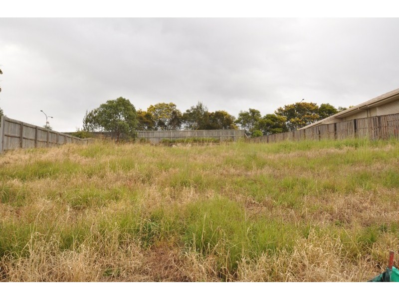 9 Treeline Circuit, Upper Coomera QLD 4209