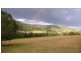 1040 Tamborine Oxenford Road, Wongawallan QLD 4210