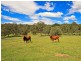 232 Rosemount Drive, Willow Vale QLD 4209