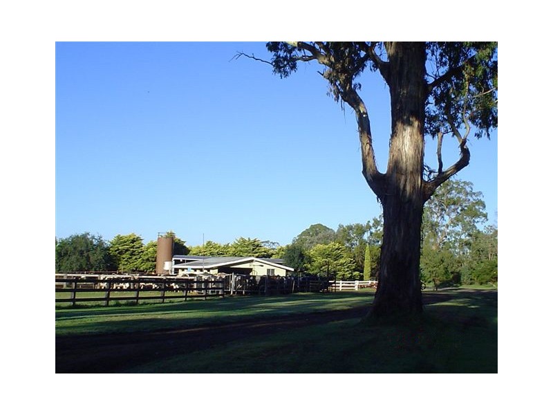 360 Emu Creek Road, Emu Vale QLD 4371