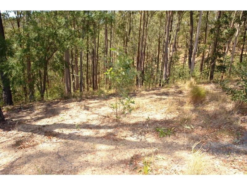 28 Solomon Lane, Wongawallan QLD 4210