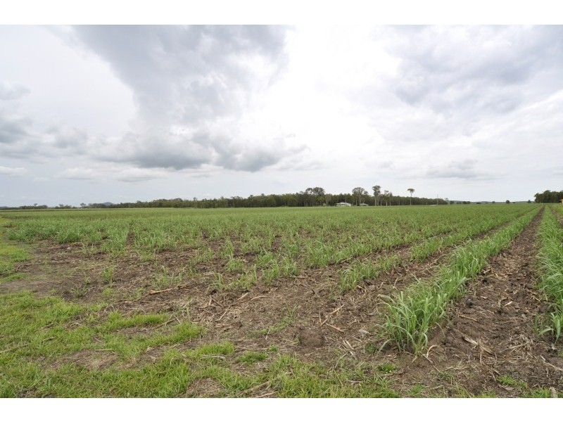 Lot 1, 66 (Lot 1) New Norwell Road, Woongoolba QLD 4207