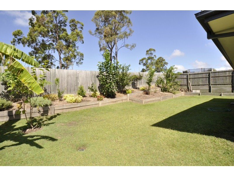 24 Goldcrest Drive, Upper Coomera QLD 4209
