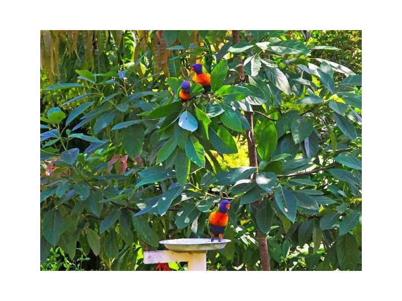 30 Ruth Terrace, Oxenford QLD 4210