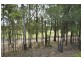 1 Desert Falls Crescent, Parkwood QLD 4214
