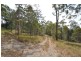1657 Tamborine-Oxenford Road, Wongawallan QLD 4210