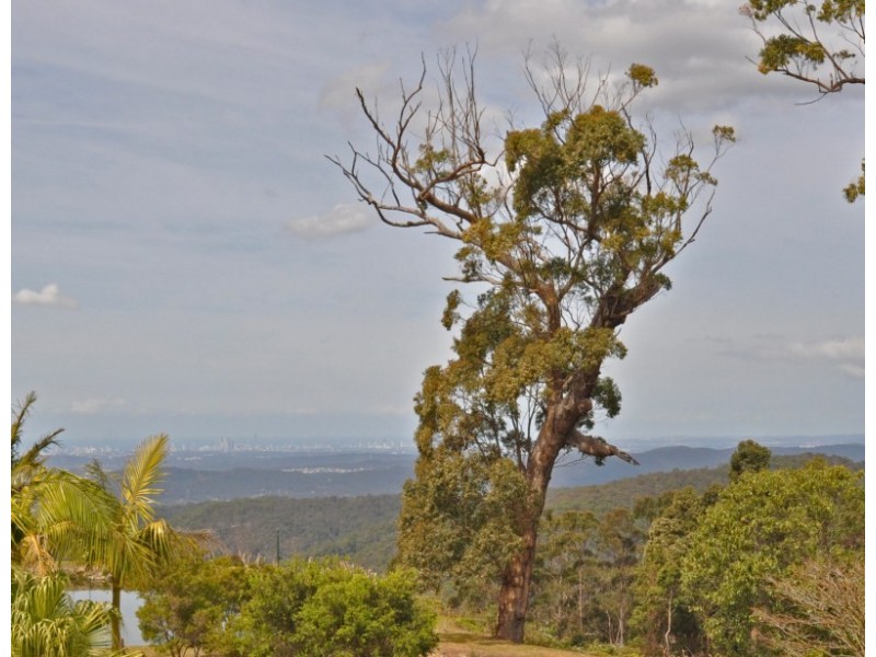 1657 Tamborine-Oxenford Road, Wongawallan QLD 4210