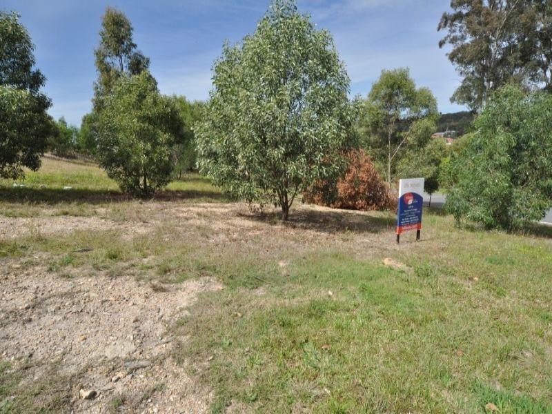 40 Annabelle Crescent, Upper Coomera QLD 4209