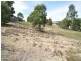 38 Annabelle Crescent, Upper Coomera QLD 4209