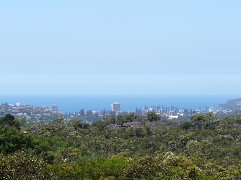 62 Churchill Crescent, Allambie Heights NSW 2100