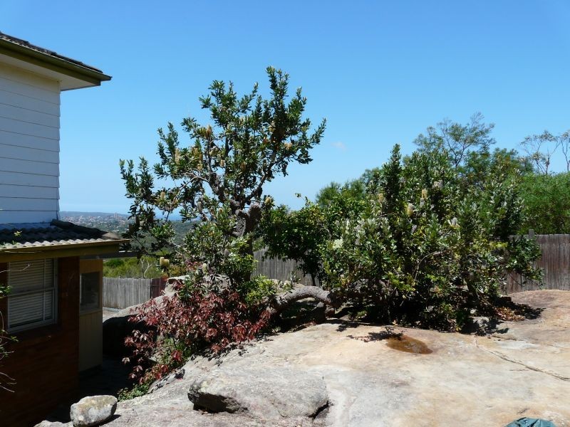 62 Churchill Crescent, Allambie Heights NSW 2100