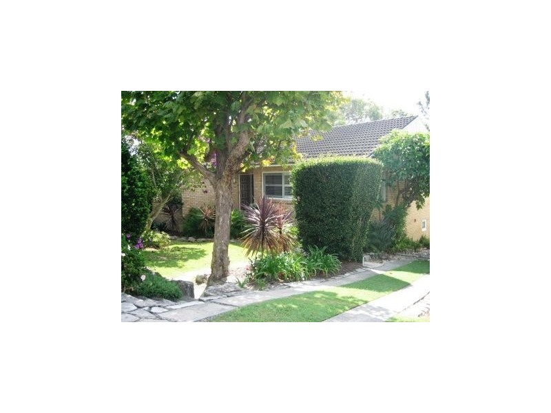 43 Curban Street, Balgowlah Heights NSW 2093