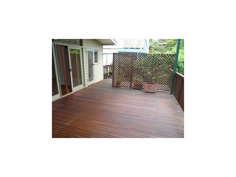 17 Curban Street, Balgowlah Heights NSW 2093