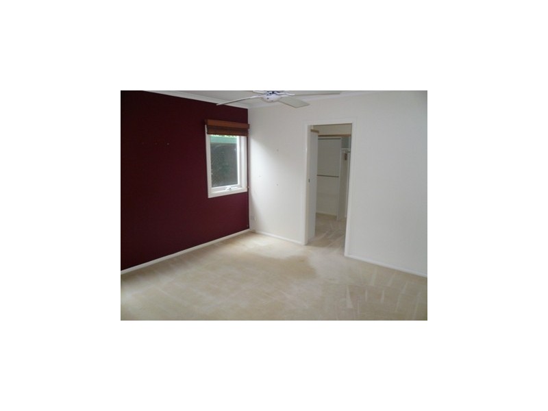 17 Curban Street, Balgowlah Heights NSW 2093