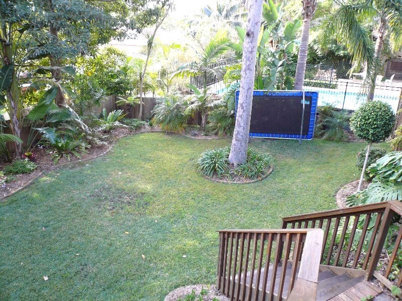 17 Curban Street, Balgowlah Heights NSW 2093