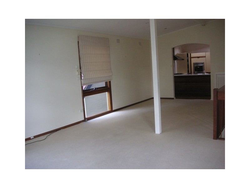 17 Curban Street, Balgowlah Heights NSW 2093