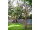 81 Clontarf Street, Seaforth NSW 2092