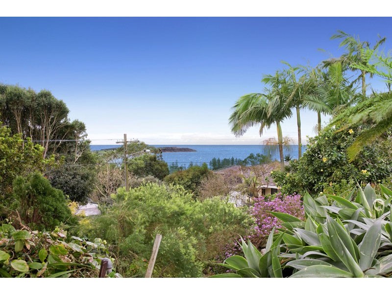 84 Quirk Street, Dee Why NSW 2099