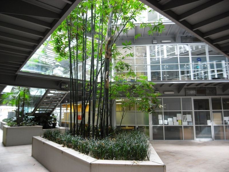 219/20 Dale Street, Brookvale NSW 2100