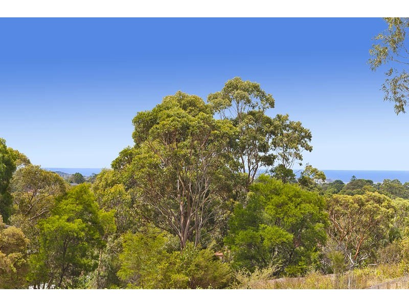 17 Eltham Street – Enter via Cooper Cl, Beacon Hill NSW 2100