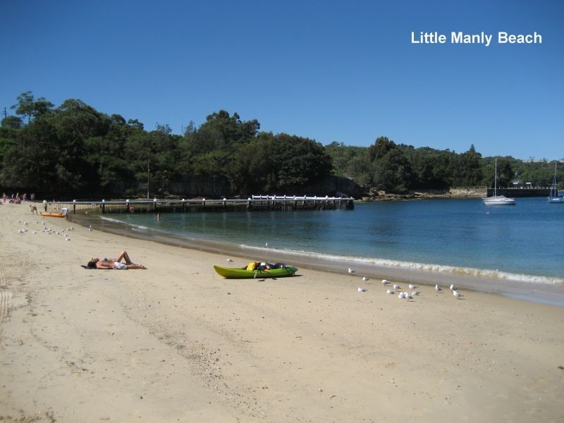 5/49  Osborne Road, Manly NSW 2095