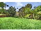 151a  Condamine Street, Balgowlah NSW 2093