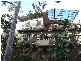 17  Curban Street, Balgowlah Heights NSW 2093