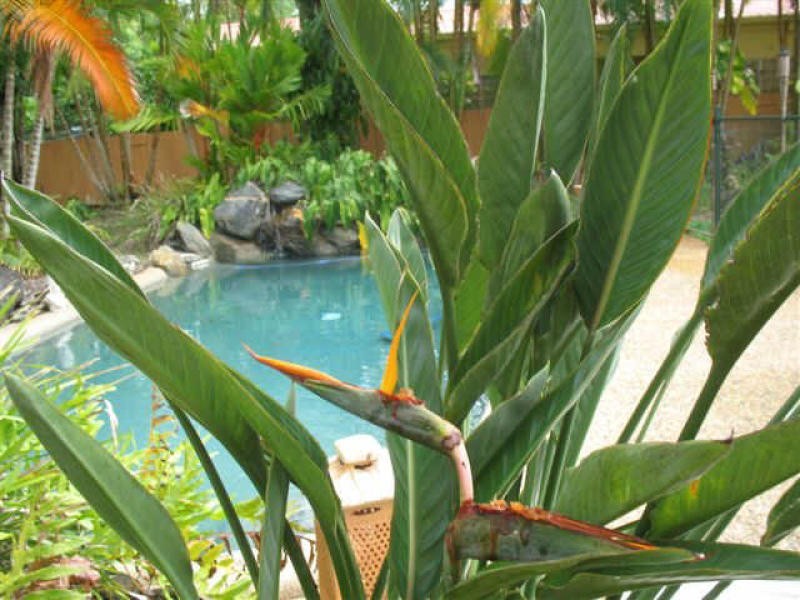 Port Douglas QLD 4877