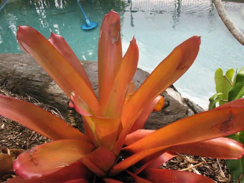 Port Douglas QLD 4877