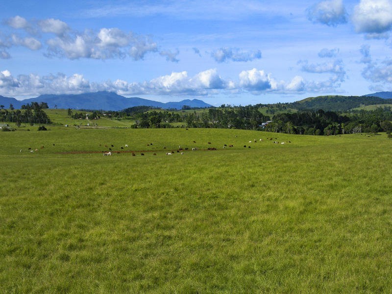 0 Emerson Road, Yungaburra QLD 4884