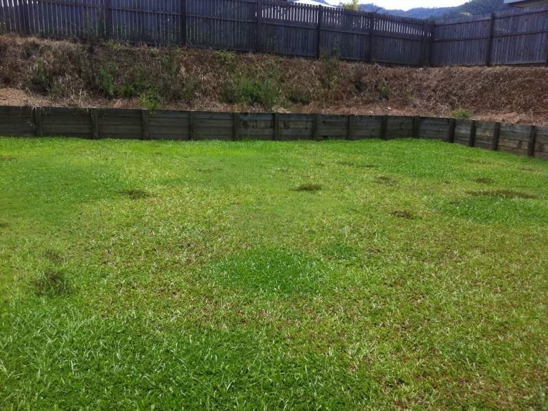 Bentley Park QLD 4869