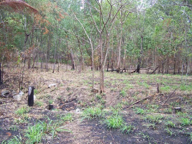 East Trinity QLD 4871