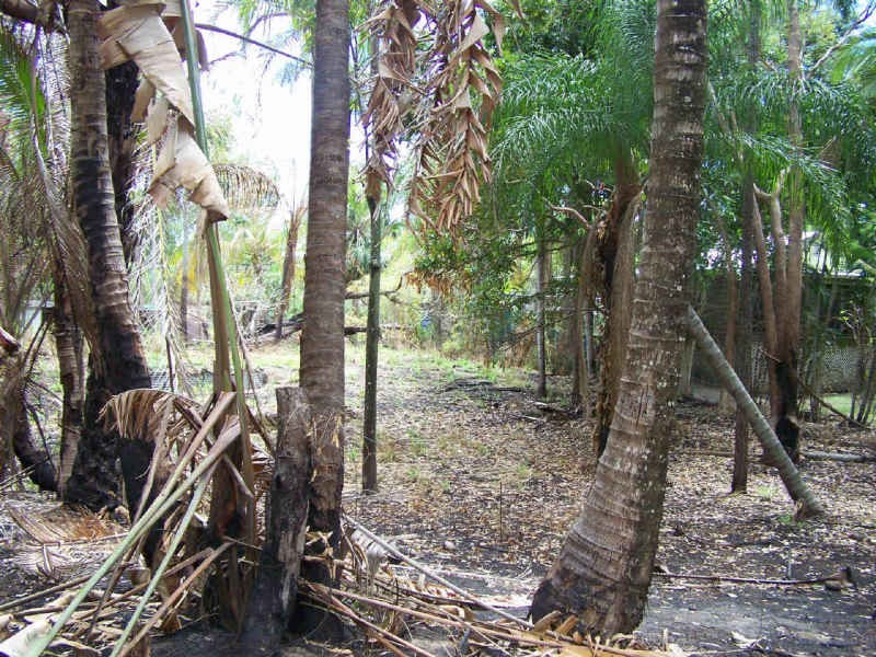 East Trinity QLD 4871